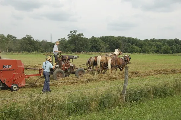 Lifestyle of Amish People