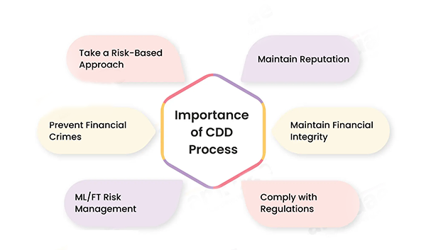 Importance of Customer Due Diligence