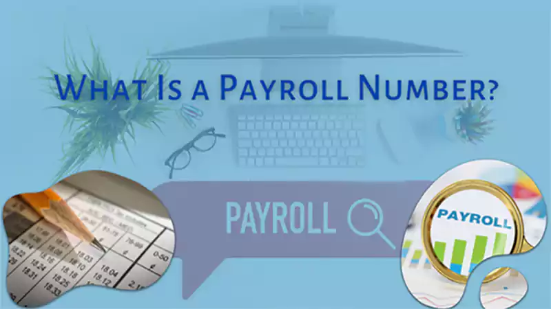 d-Payroll Number