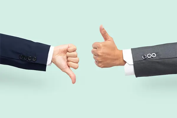 Advantages and Disadvantages of LLC and Inc