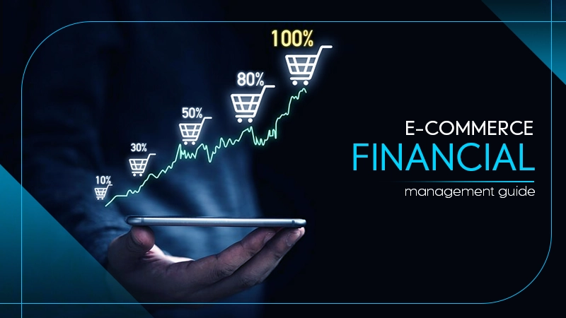 e-commerce financial management guide