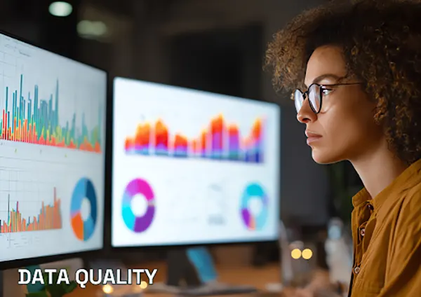 Data Quality Problems