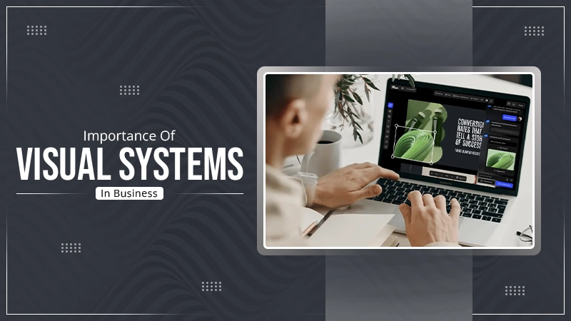 Visual Systems in Business