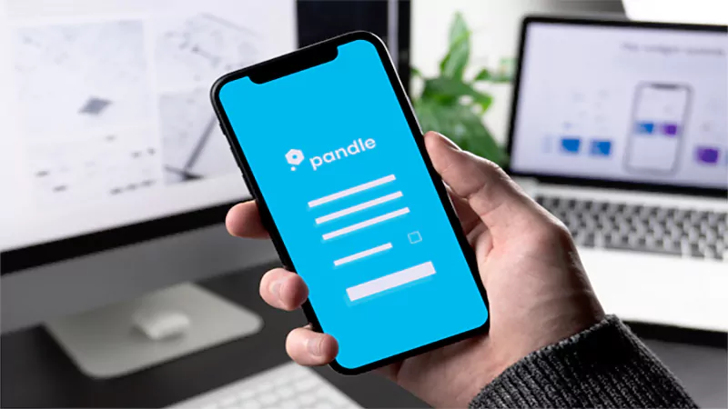 d-Pandle Bookkeeping Software