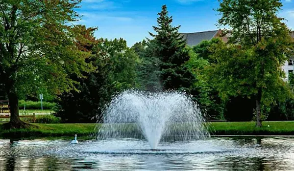 Decorative water fountain spraying in a scenic park pond