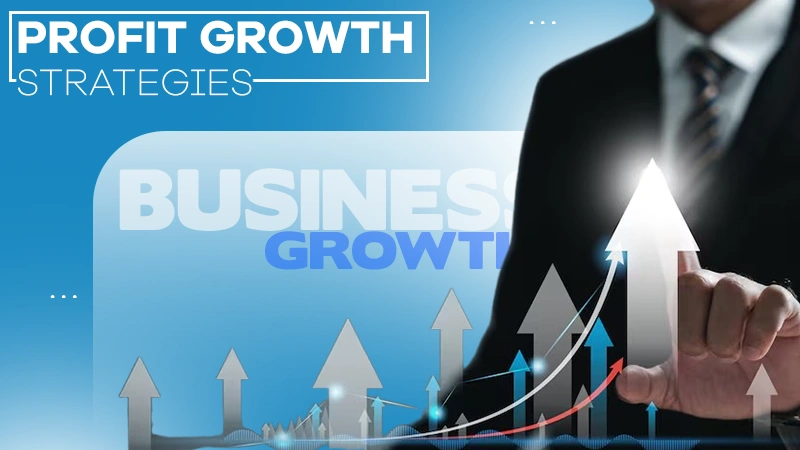 profit growth strategies