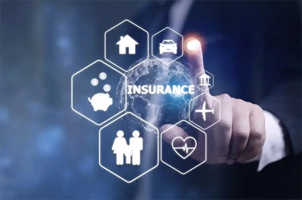 Insurance Risk